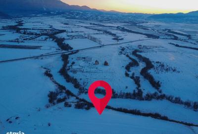 Teren de 5000 mp, în Pănicel - 2