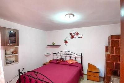 Casa de locuit posibilitate spatiu comercial - 12