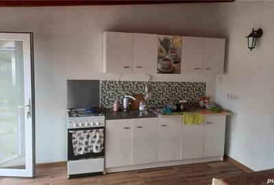 Casă cu 2 camere în Nimigea - 4