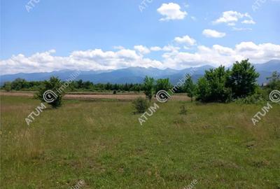 Teren de 5000 mp, în Avrig - 2