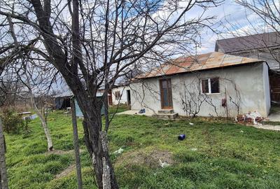 Casă cu 2 camere în Central - 5