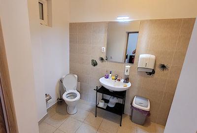 Casă cu 16 camere cu Canalizare în Grădina Icoanei - 7