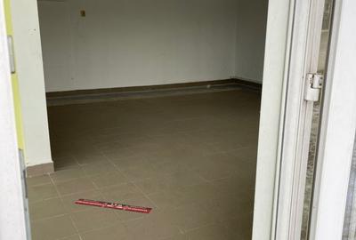 Spatiu comercial-Fost Magazin Casa Lebada, Sos. Bucium 23 - 5