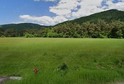 Teren de 800 mp, în Brădet