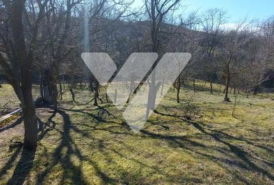 Casă cu 6 camere cu Teren 2109 Mp în Slimnic - 6