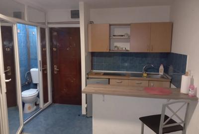 PROPRIETAR, inchiriez garsoniera in buziasului - 2