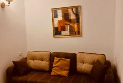 Garsonieră semidecomandată în Dristor - 5