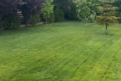 Vanzare casa Paradisul Verde Corbeanca - 8