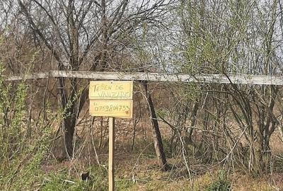 Teren de 2000 mp, în Sânnicolau Român - 6