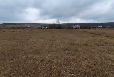 Teren Construcții intravilan de 1100 mp, în Mogoșești - 3