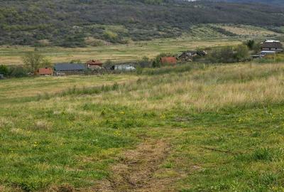 Spațiu comercial, în Podul de Fier - 3