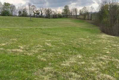 Spațiu comercial, în Central - 1