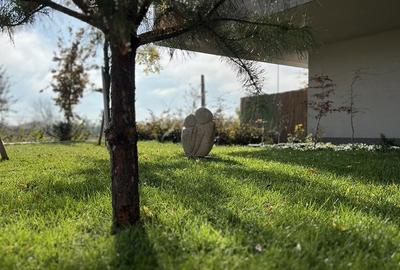 Apartament cu 4 camere semidecomandat în Străulești - 14