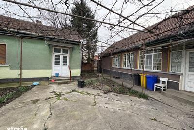 Casă cu 4 camere cu Teren 3767 Mp în Borș - 13