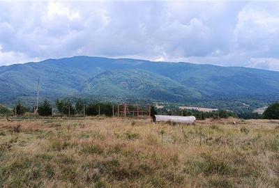 Teren de 5050 mp, în Nucșoara - 1