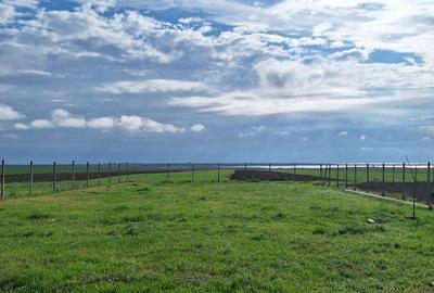 Casă cu 2 camere cu Teren 1000 Mp în Istria - 4