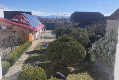 Casă cu 4 camere cu Teren 2200 Mp în Bod - 5