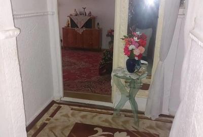 Apartament cu 4 camere decomandat în Sud - 6