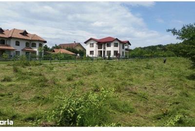 Teren de 3676 mp, în Păulești - 3