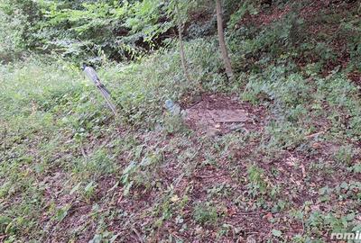 Casă cu 6 camere cu Teren 2700 Mp în Bradu - 5