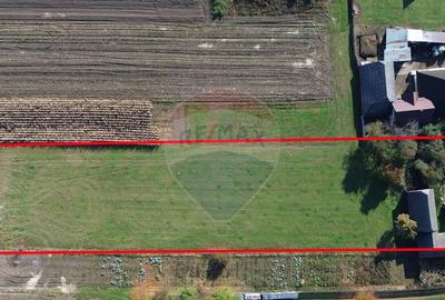 Casa de vanzare in Horodnic de Jos cu teren de 3900mp - 1