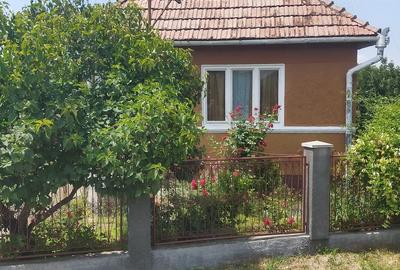 Casă cu Teren 200 Mp în Rușii-Munți - 3