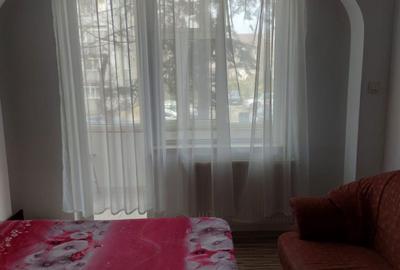 Apartament cu 2 camere semidecomandat în Milcov - 3