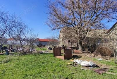Teren de 1000 mp, în Pădureni - 1