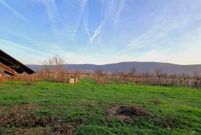 Casă în Pleșoiu (Nicolae Bălcescu) - 2