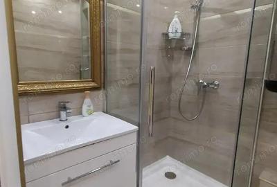 Garsonieră decomandată în Theodor Pallady - 3