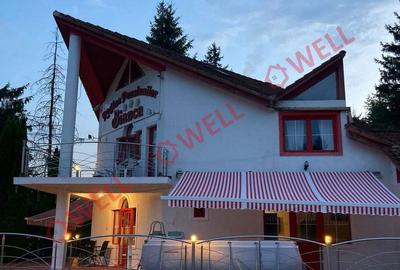 Casă cu 4 camere în Izvoru Mureșului - 2