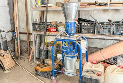 De vanzare ferma Calarasi in stare de conservare - sere - livada - 15