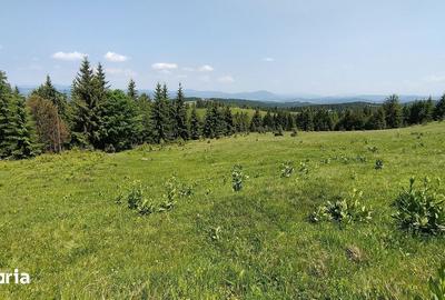 Teren de 700 mp, în Tiha Bârgăului - 10