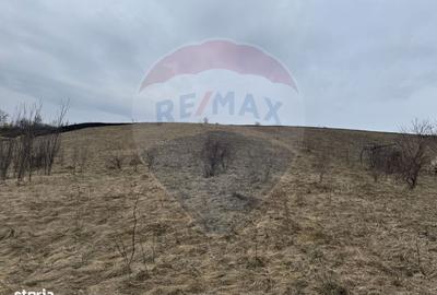 Teren de 2307 mp, în Ciurila - 6