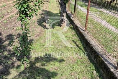 Casă cu 4 camere în Băile 1 Mai - 17