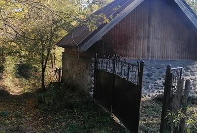 Casă cu 3 camere cu Teren 5200 Mp în Schela - 2