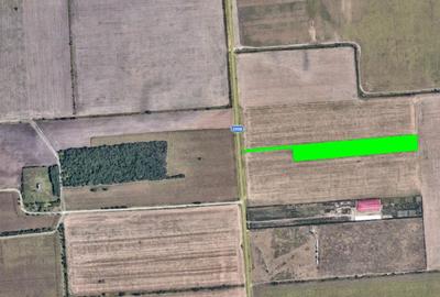 Teren de 17700 mp, în Tunari