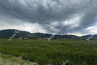 Teren intravilan de 3477 mp cu deschidere de 35 m in Boita - 4