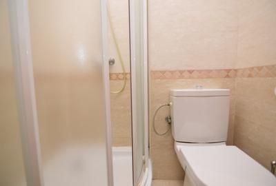 Apartament cu 3 camere decomandat, mobilat în Unirii - 29