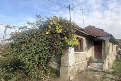 Casă cu 2 camere în Boldești - 2