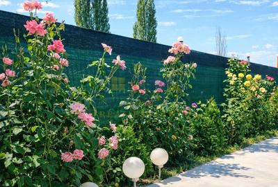 Casă individuală cu 4 camere cu Canalizare în Puchenii Mari - 7