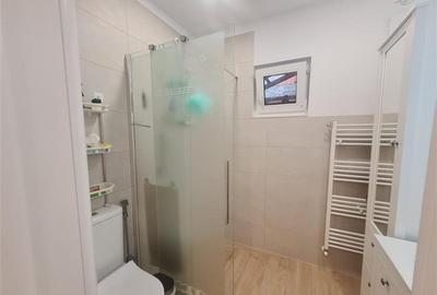 Casa, pe locatie centrala, imbinare apreciabila intre traditional si contemporan - 10