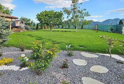 Structura Generoasa Zona Linistita - 6