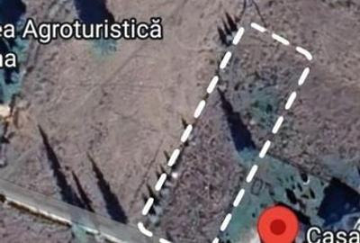 Teren de 3000 mp, în Dorna-Arini - 2