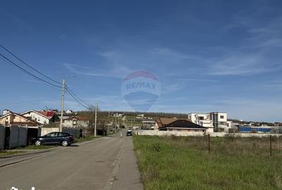 Teren de 4862 mp, în Bordei - 11