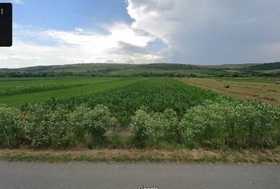 Teren de vanzare, Borsa (Cluj)