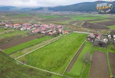 Teren de 8000 mp, în Central - 10