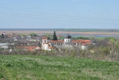 Teren de 4300 mp, în Comana - 3