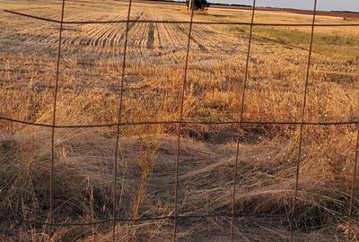 Branistari, Comuna Calugareni judetul Giurgiu - 5
