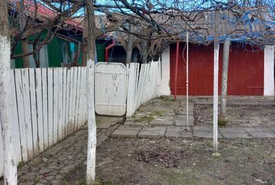 Casa batraneasca si teren de vanzare: Silistraru, Braila - 5